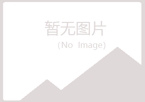 晋中埋没音乐有限公司